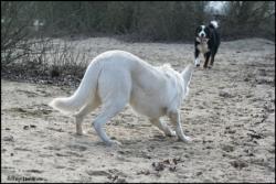 Crunch et Circus