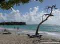 Plage de Saint-Félix, Guadeloupe