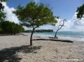 Plage de Saint-Félix, Guadeloupe