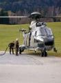 super_puma