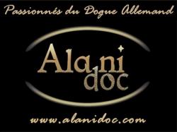 site Italien de passionés de dogue allemand