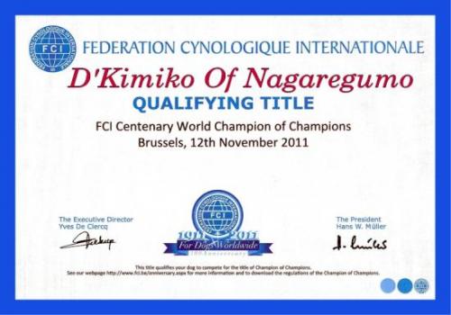 shiba inu champio of champion